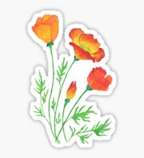 Orange Red Poppies Sticker
