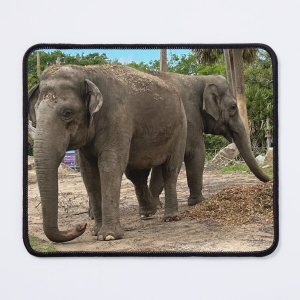Item preview, Happy elephants  designed and sold by tnwilson27.
