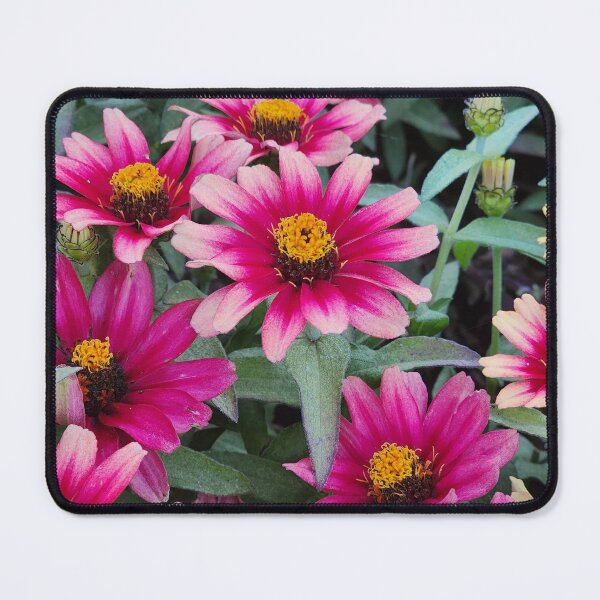 Item preview, Pretty pinks floral photo designed and sold by Palmadesigns.