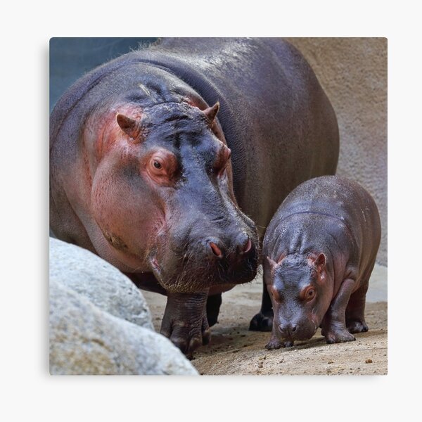 Mini Me Canvas Print