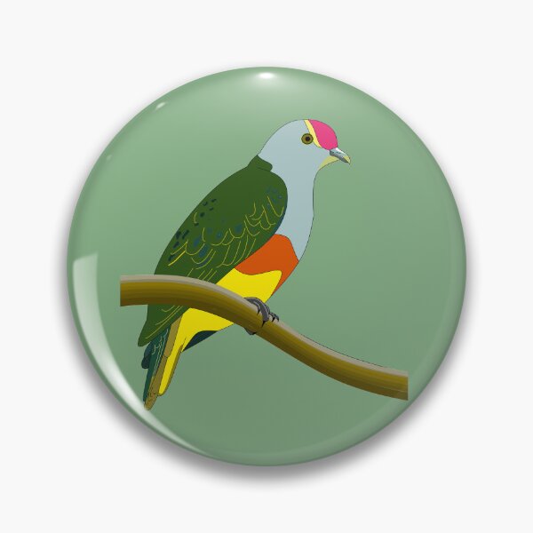 Artikelvorschau, Rosengekrönte Fruchttaube, Cairns Birders entworfen und verkauft von CairnsBirders.