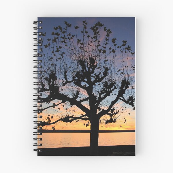 Item preview, Sunset at Meersburg - Lake Constance designed and sold by holgermader.