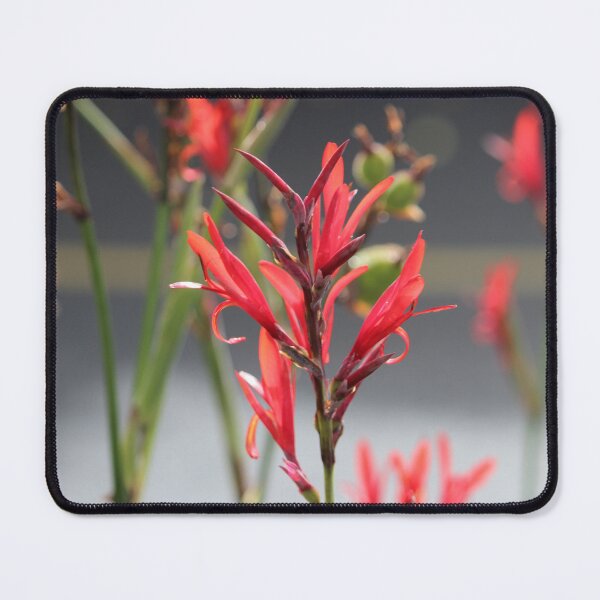 Item preview, flames designed and sold by ljdewet.