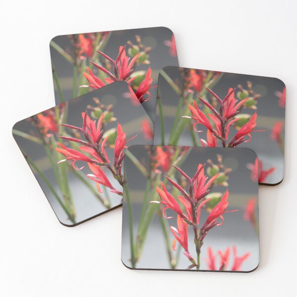 Item preview, flames  designed and sold by ljdewet.