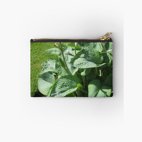 Item preview, Hosta designed and sold by MidnightMelody.