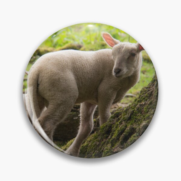 Item preview, The lambs at Maplewood Farm 4 designed and sold by Gabriele Maurus.