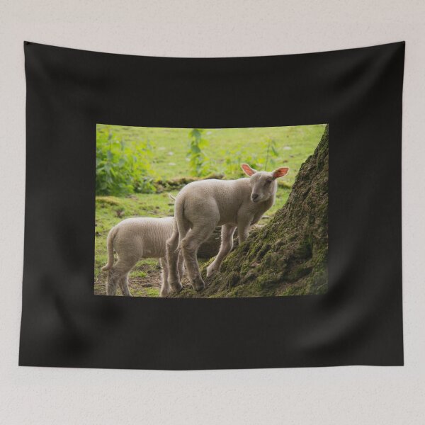 Item preview, The lambs at Maplewood Farm 4 designed and sold by Gabriele Maurus.