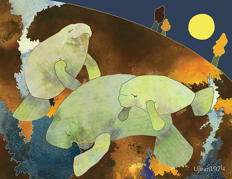 Dancing with Manatees by Faith McNulty