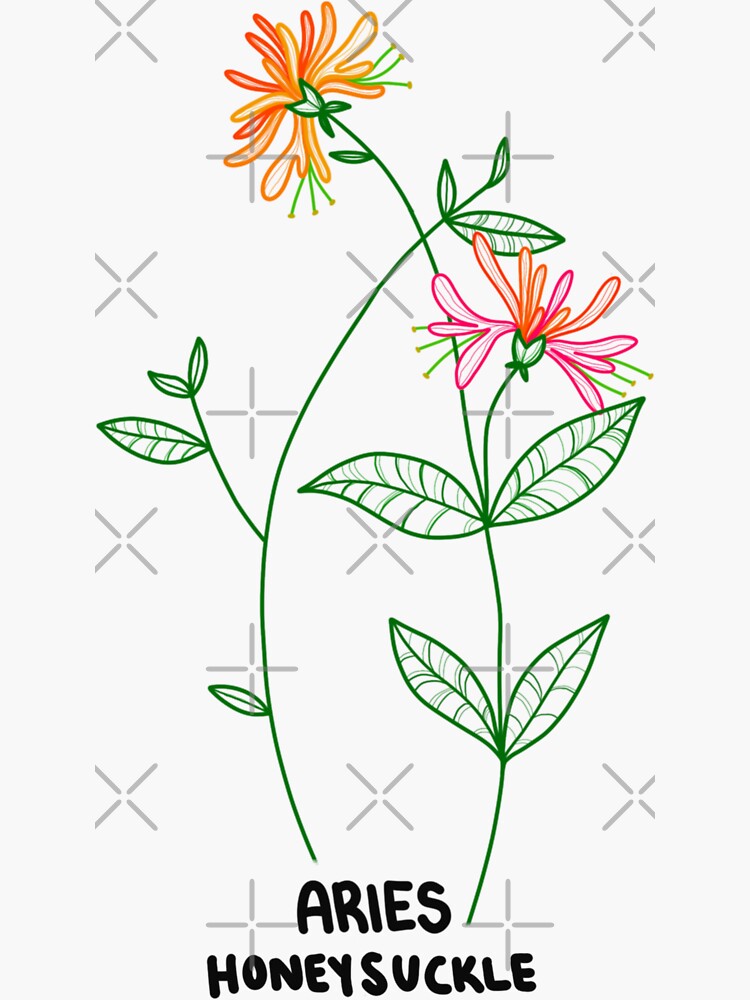 Honeysuckle & snowdrop flowers by... - Black Dot Tattoos | Facebook