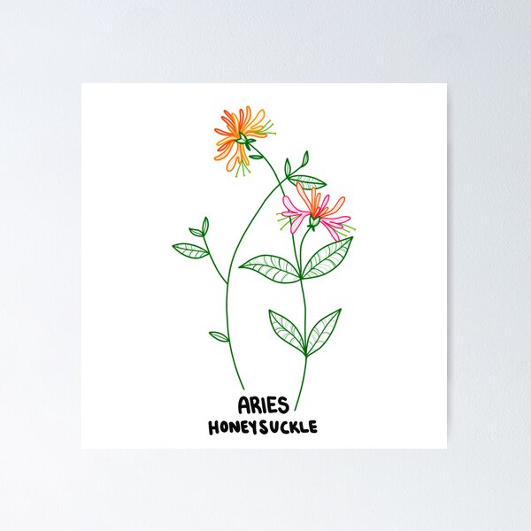 Aperçu de l'œuvre Fleurs du zodiaque Bélier chèvrefeuille créée et vendue par Hazyhorizons.