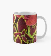 Atemberaubende Coleus Blätter Tasse (Standard)