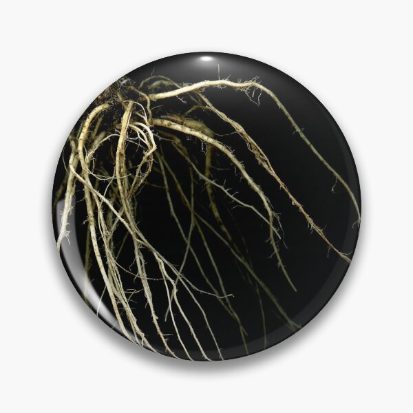 Item preview, Red Cabbage root 5 designed and sold by Gabriele Maurus.