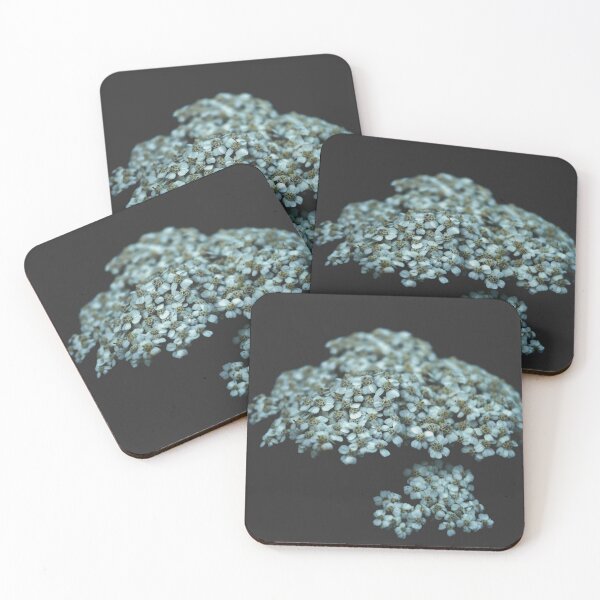 Item preview, Botanical Still Life Photography Tiny Flowers designed and sold by by-jwp.