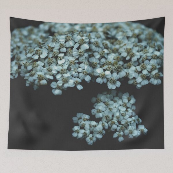 Item preview, Botanical Still Life Photography Tiny Flowers designed and sold by by-jwp.