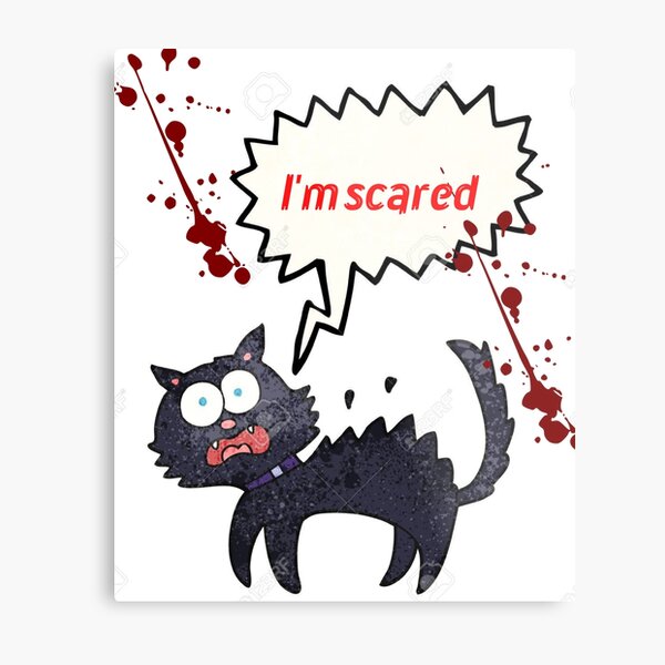 im scared cat Sticker for Sale by 360files