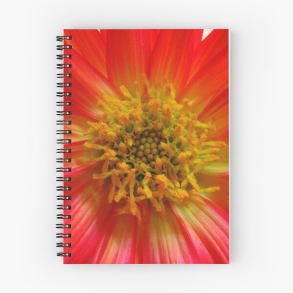 Item preview, Scarlet Cactus Dahlia Supermacro designed and sold by MidnightMelody.