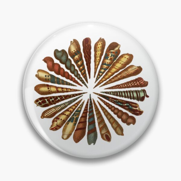 Item preview, Radiating shells designed and sold by BelleZeare.