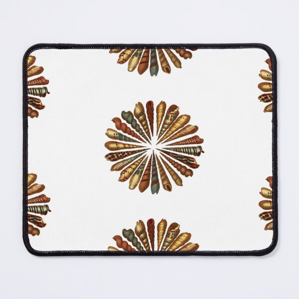 Item preview, Radiating shells designed and sold by BelleZeare.