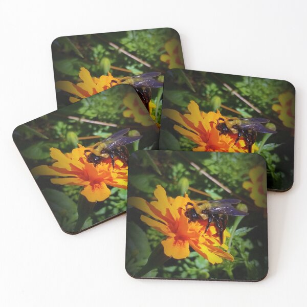 Item preview, Bumblebee en flor de caléndula designed and sold by Heathermarie321.