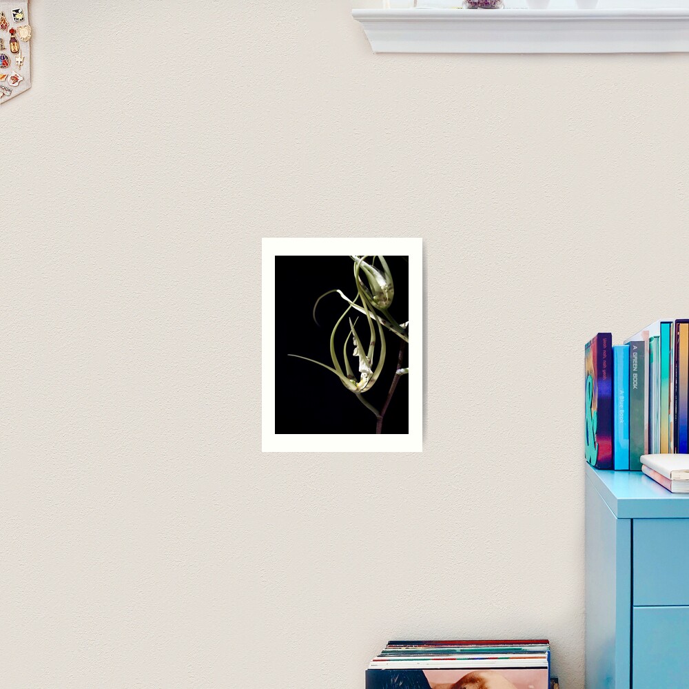 Item preview, Art Print designed and sold by kirky101.