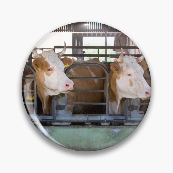 Item preview, Where's Our Hay? designed and sold by Alexandra Lavizzari.