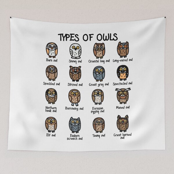 Item preview, Types of Owls Collection For Cute Owl Lover designed and sold by JokeGysen.