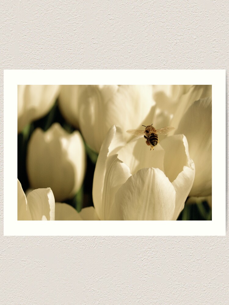 Thumbnail 2 of 3, Art Print, beetulip designed and sold by kirky101.