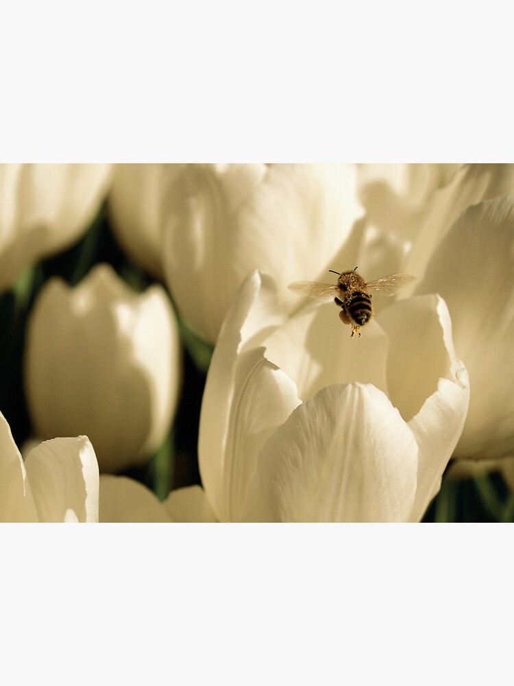 Thumbnail 3 of 3, Art Print, beetulip designed and sold by kirky101.