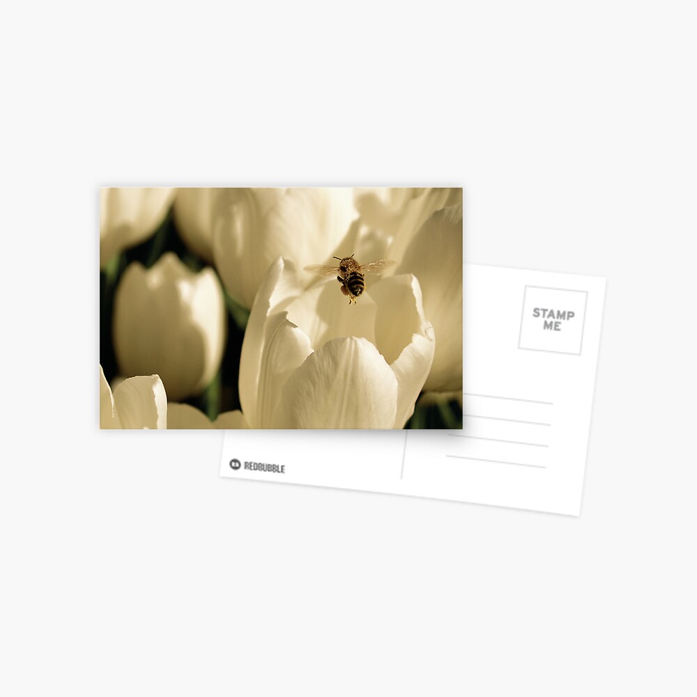 Item preview, Postcard designed and sold by kirky101.