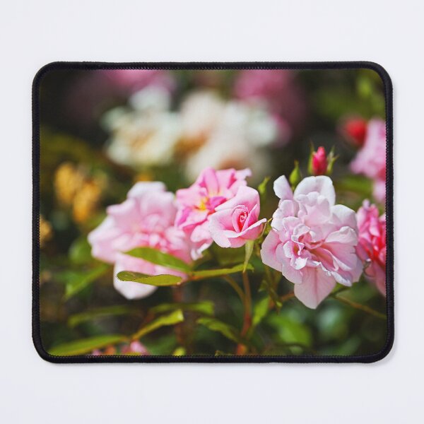 Item preview, The Rose Garden Walk designed and sold by Joy Watson - Natural Light Photography .
