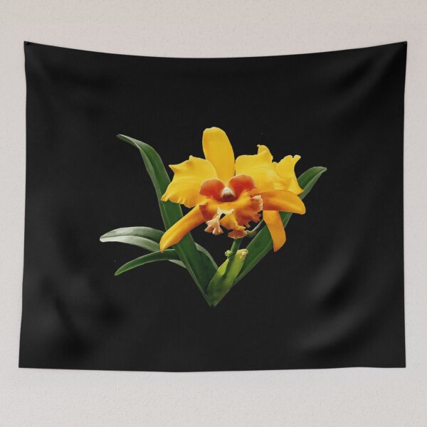Item preview, Cattleya Orchid BLC Malworth Orchidglade designed and sold by tytkoyordano.