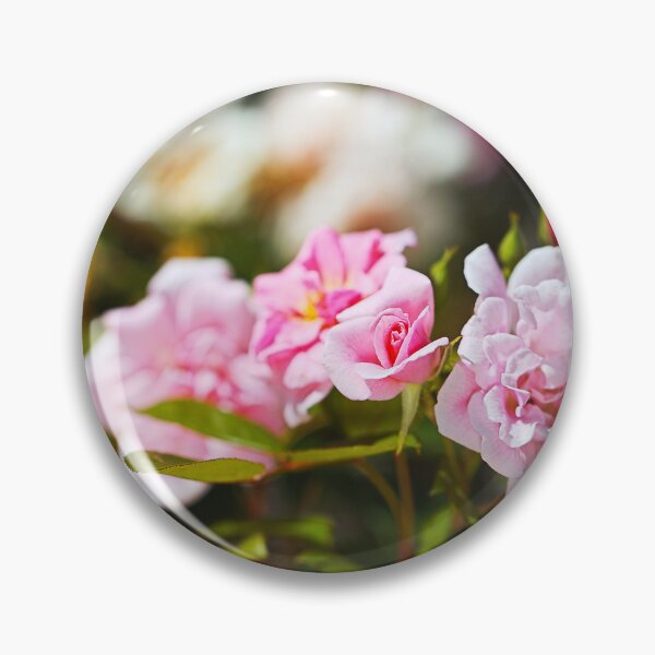 Item preview, The Rose Garden Walk designed and sold by Joy Watson - Natural Light Photography .