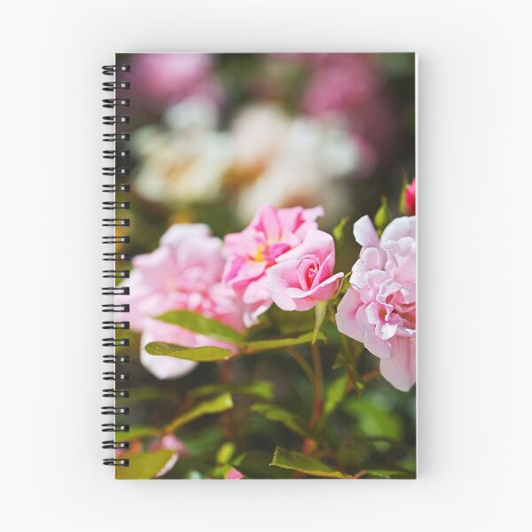 Item preview, The Rose Garden Walk designed and sold by Joy Watson - Natural Light Photography .