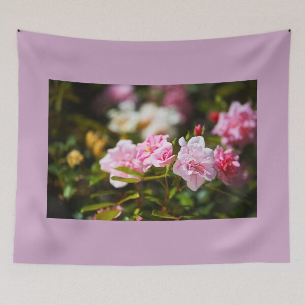 Item preview, The Rose Garden Walk designed and sold by Joy Watson - Natural Light Photography .