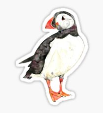 Puffin Sticker