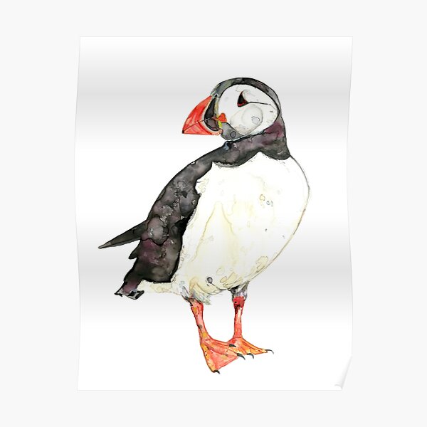 Puffin Poster