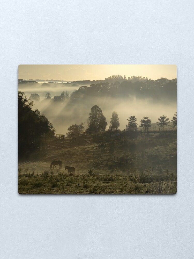 Alternate view of Winter Morning Metal Print