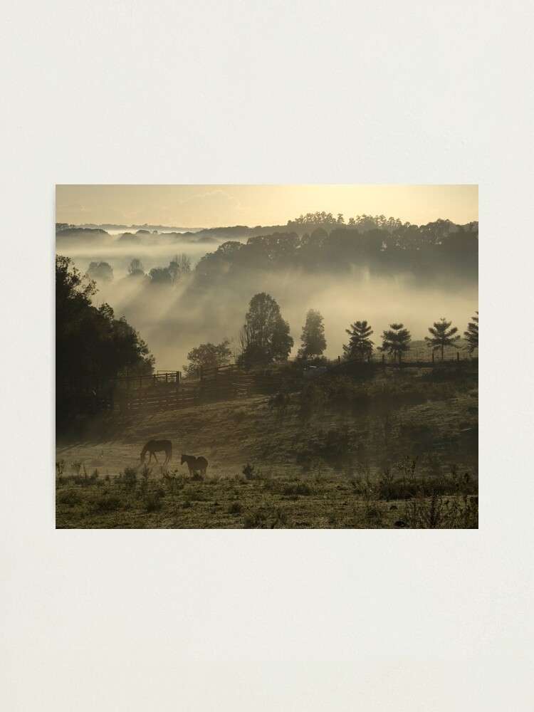 Alternate view of Winter Morning Photographic Print