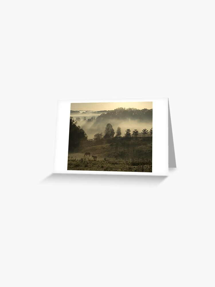 Greeting Card, Winter Morning designed and sold by Trevor Farrell