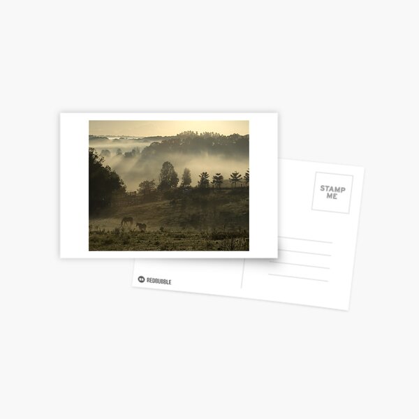 Winter Morning Postcard