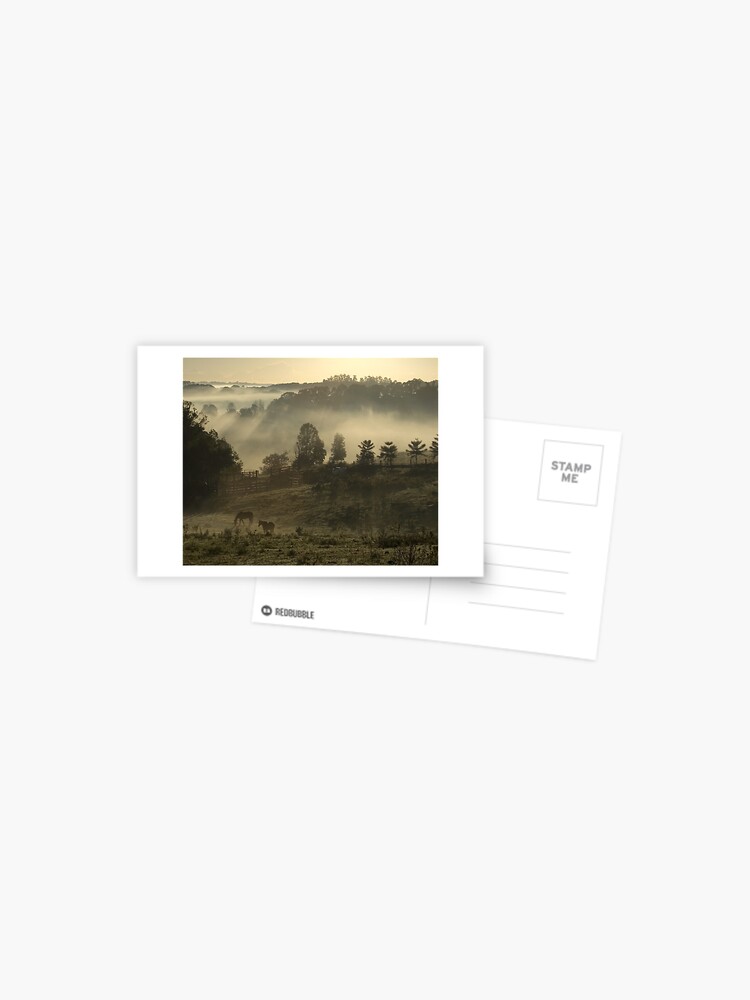Thumbnail 1 of 2, Postcard, Winter Morning designed and sold by theoddshot.