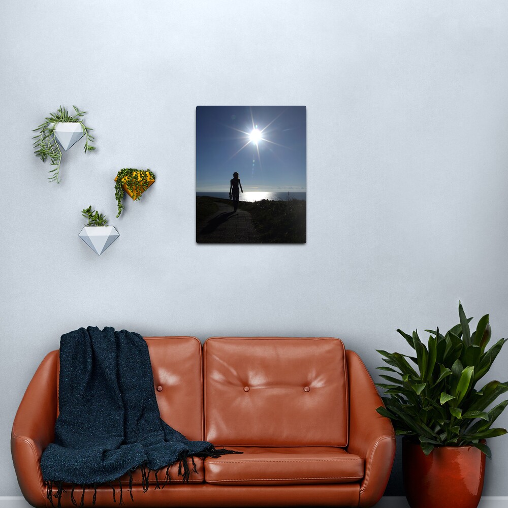 Early Morning Walk Metal Print