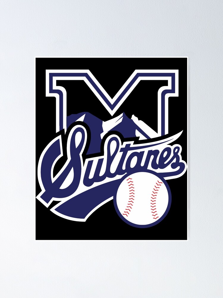 The-Quad-Cities-River-Bandits-Baseball Logo Poster for Sale by  elihmalihaah