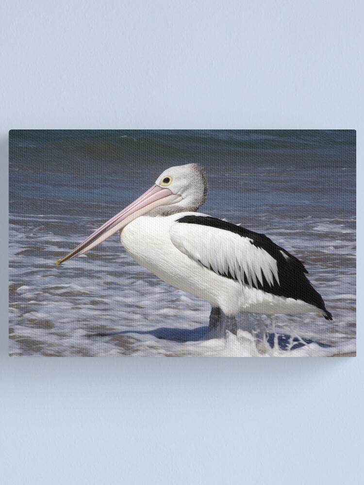Alternate view of Awaiting Lunch Canvas Print