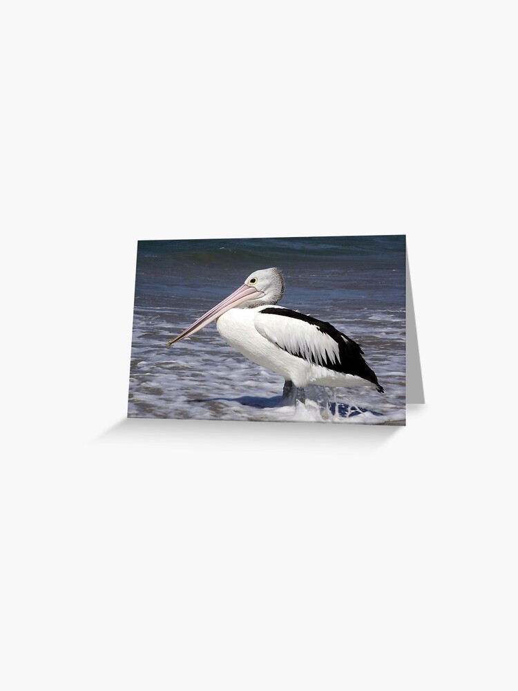 Thumbnail 1 of 2, Greeting Card, Awaiting Lunch designed and sold by theoddshot.