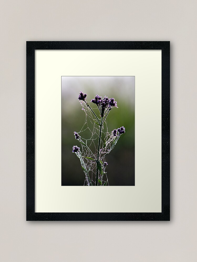 Alternate view of Morning Lace Framed Art Print