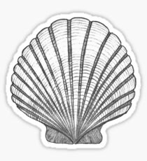 Shell Sticker