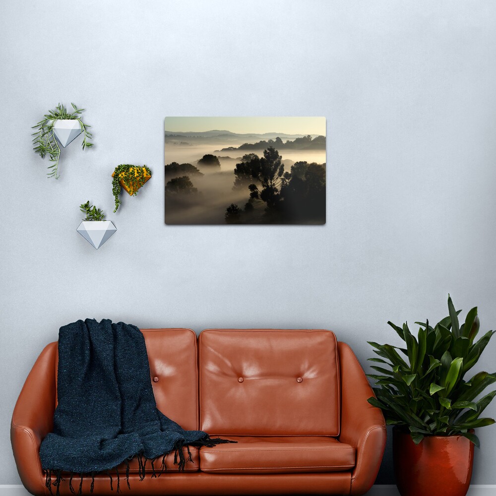 Misty Morning Metal Print