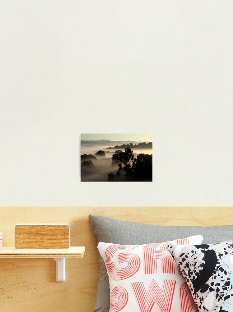 Thumbnail 1 of 3, Photographic Print, Misty Morning designed and sold by theoddshot.