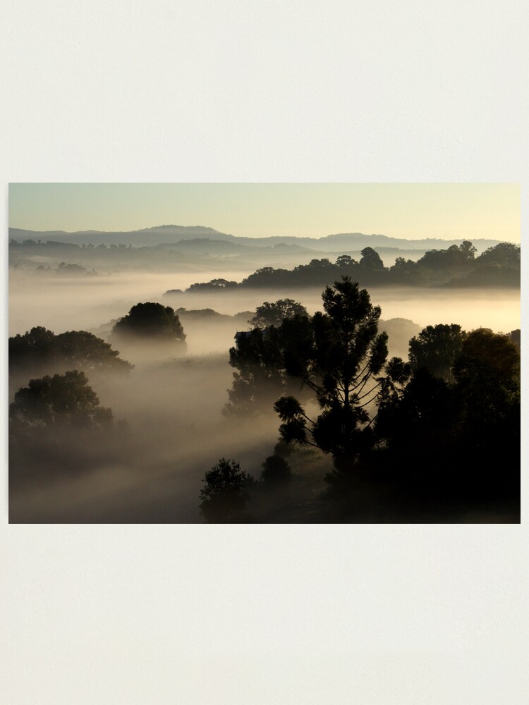 Alternate view of Misty Morning Photographic Print